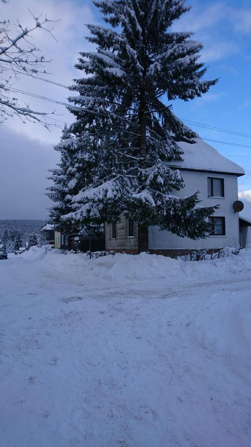 Haus Hasenmueller Apartamento Schmiedefeld am Rennsteig Exterior foto